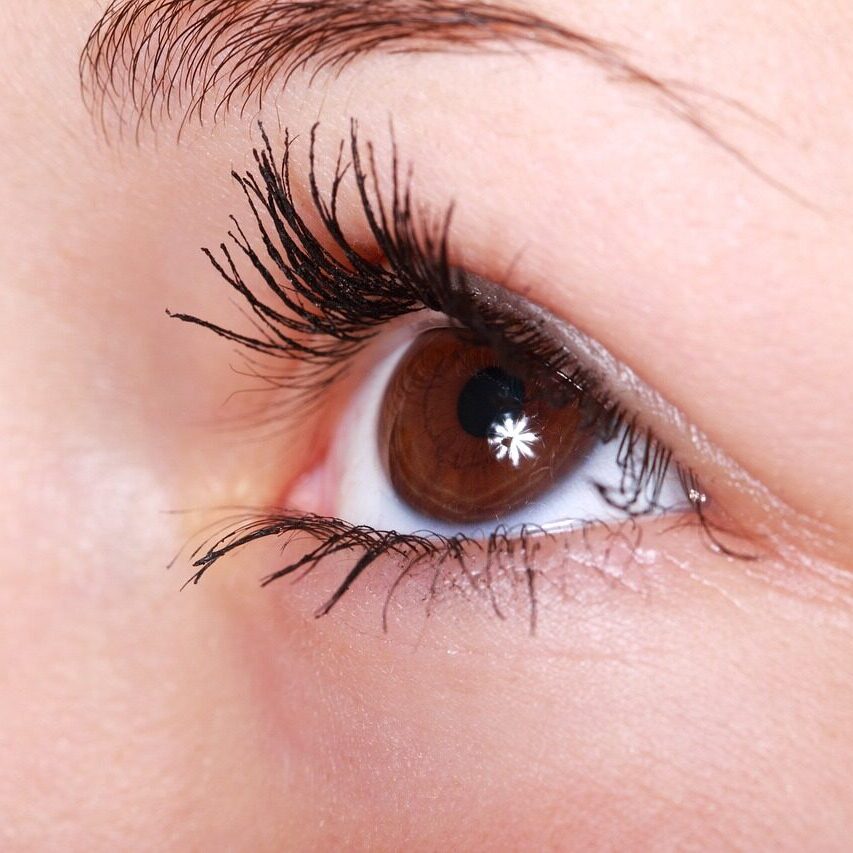 lash extensions